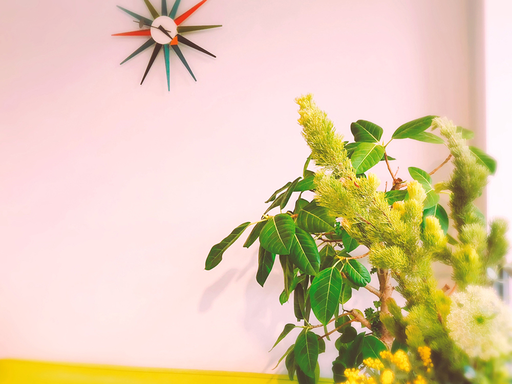 カット メニュー表