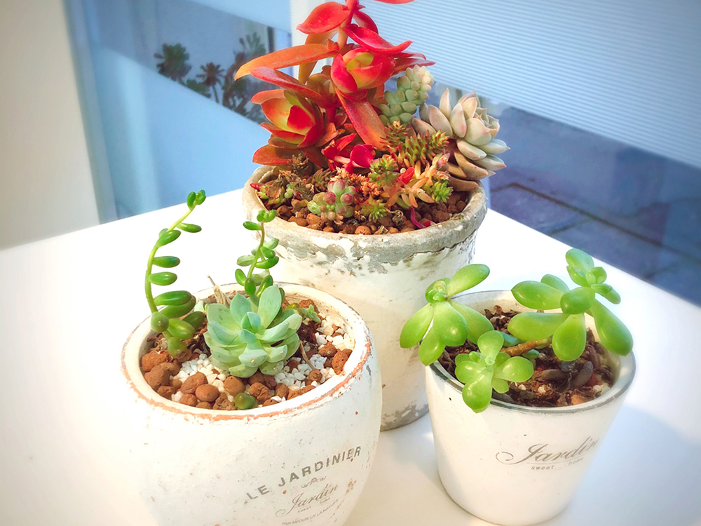 パーマ メニュー表